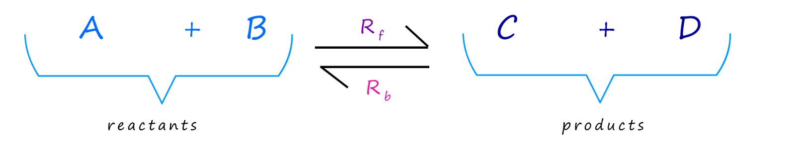 reversible reaction example equation.
